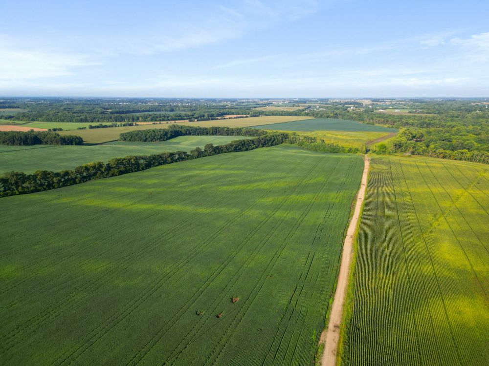 Property gallery image