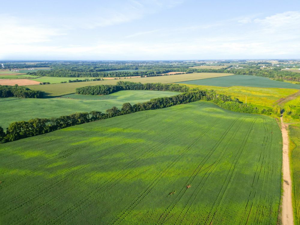 Property gallery image