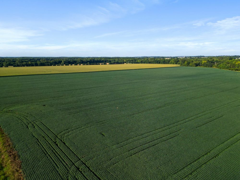 Property gallery image