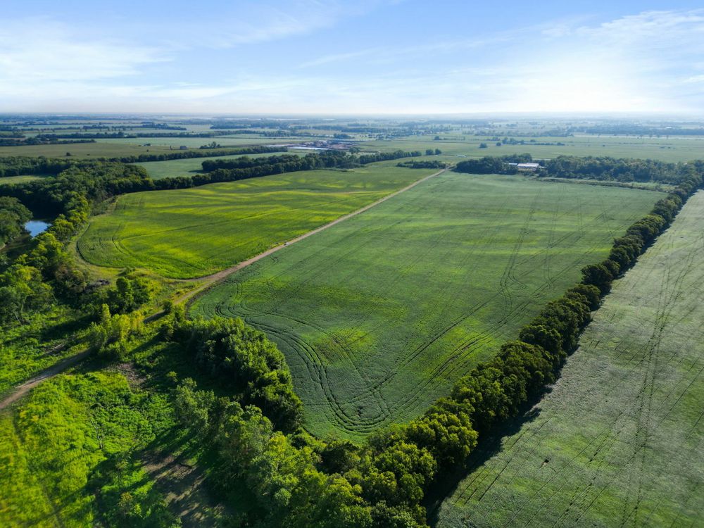 Property gallery image