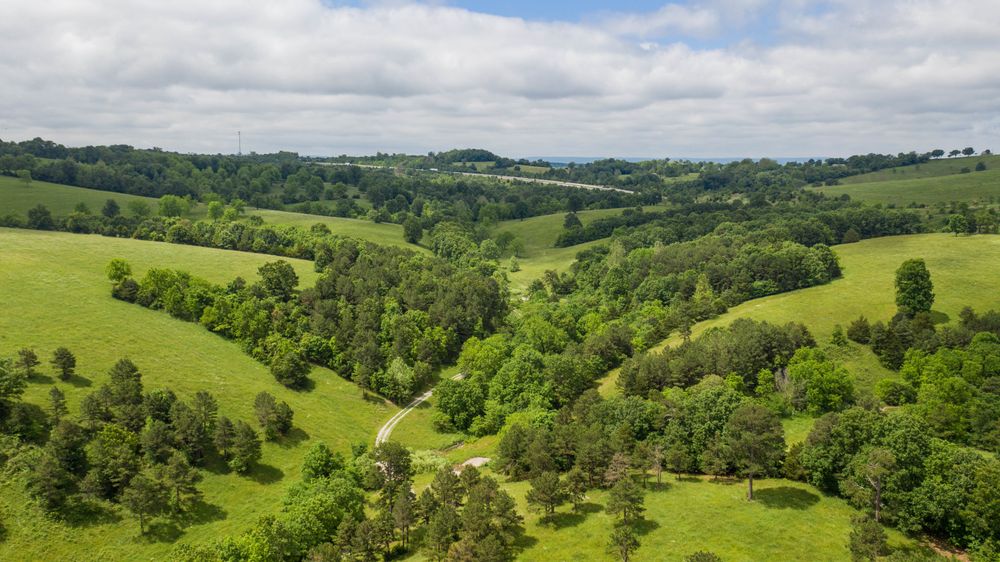 Property gallery image