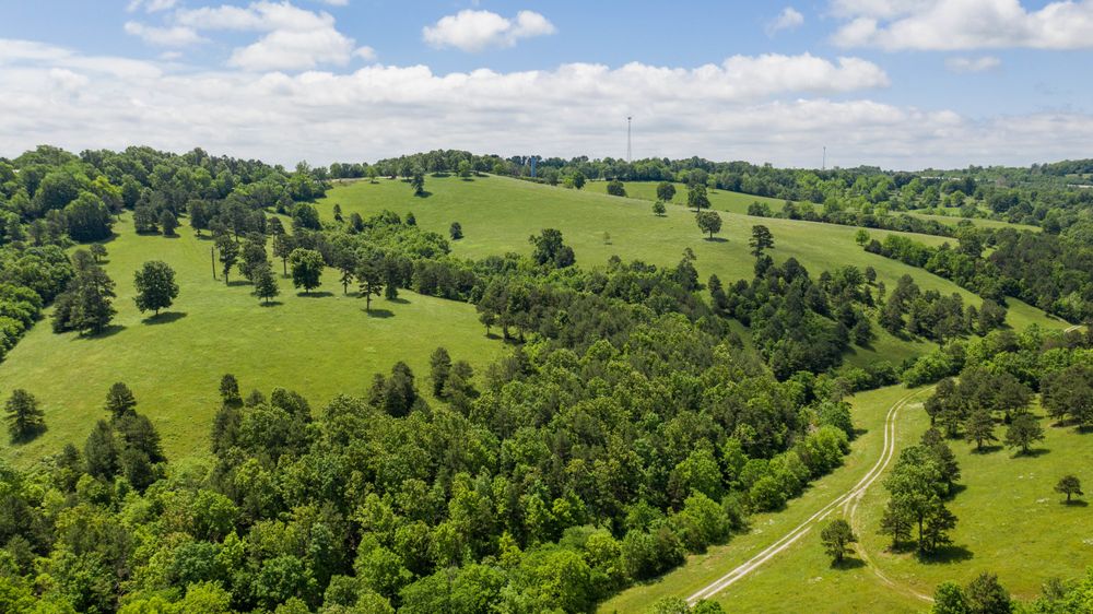 Property gallery image