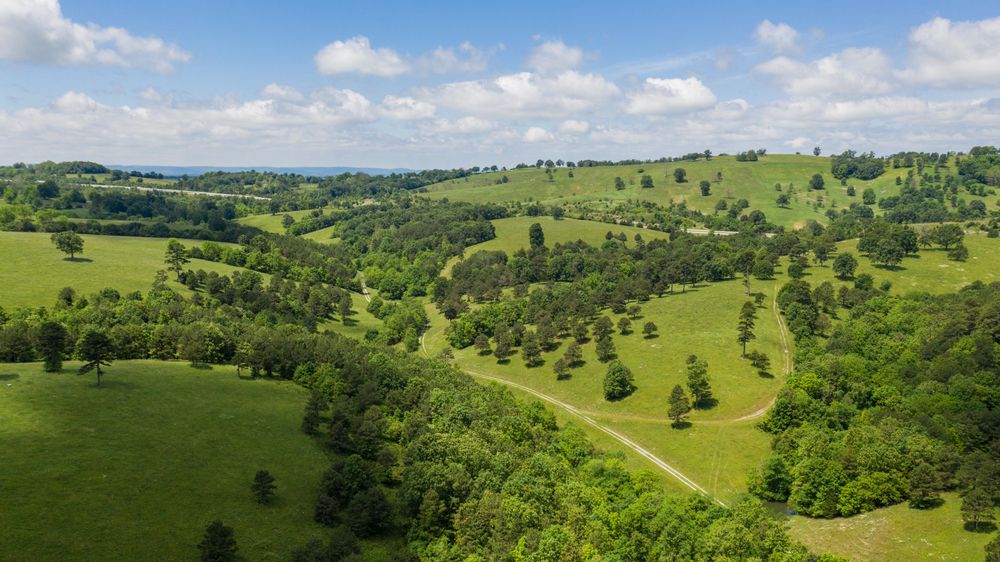 Property gallery image