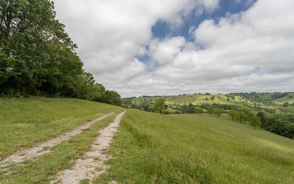 Property gallery image