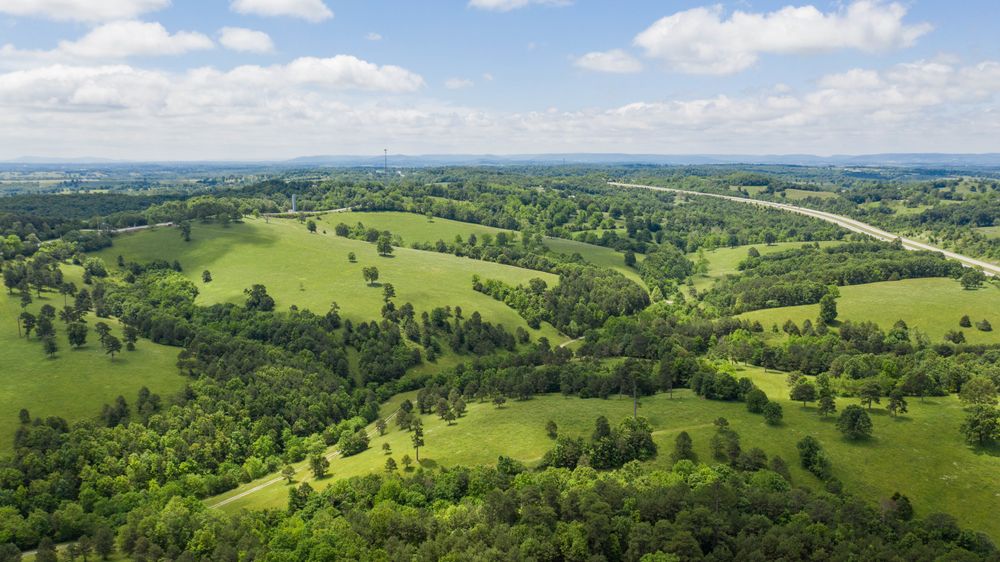 Property gallery image