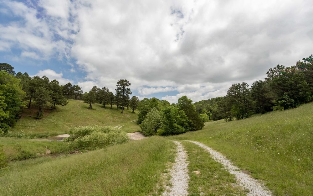 Property gallery image
