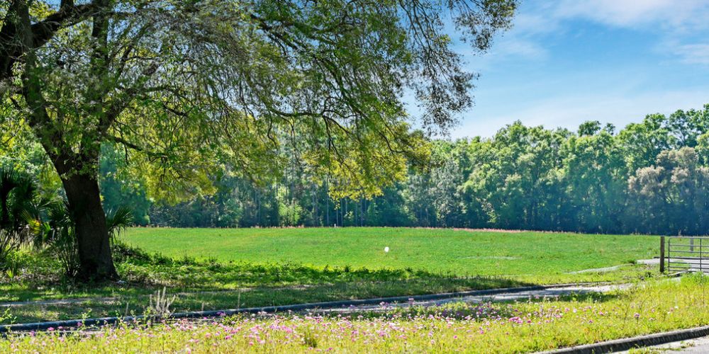 Property feature image