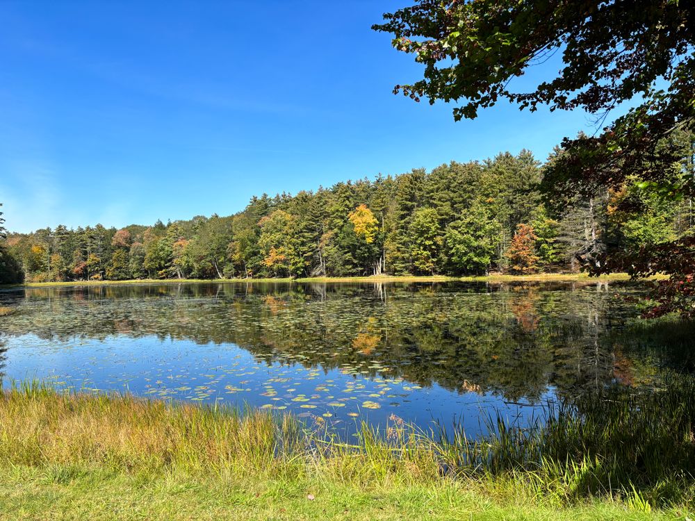 Property gallery image