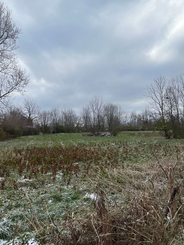 Property gallery image