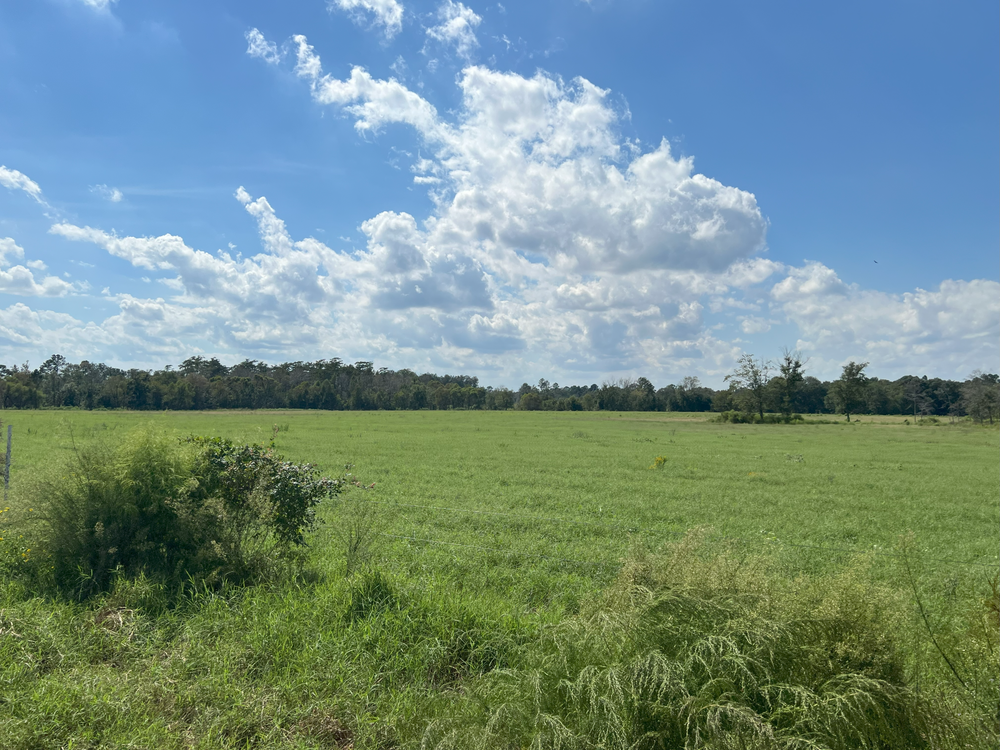 Property gallery image