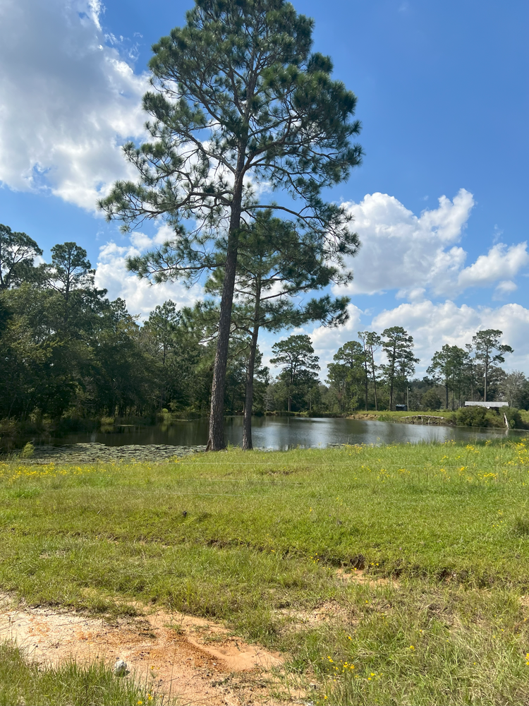 Property gallery image