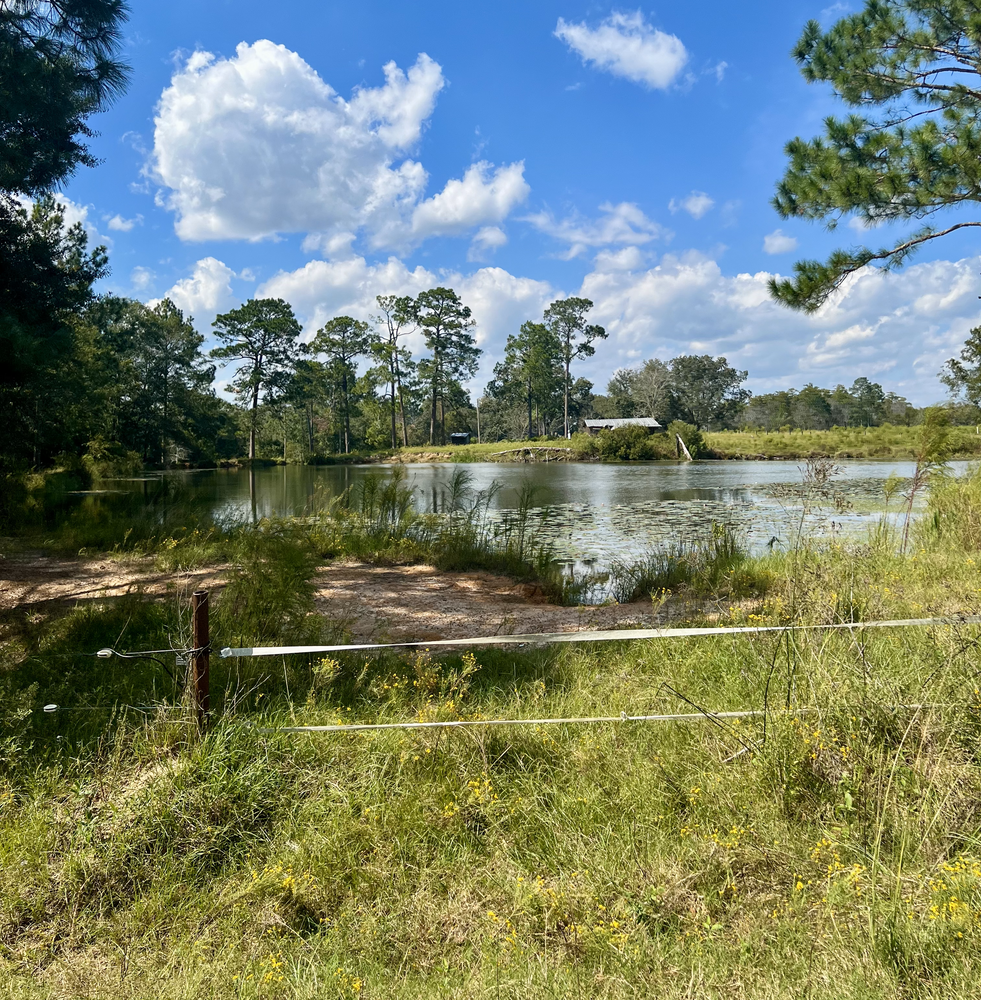 Property gallery image