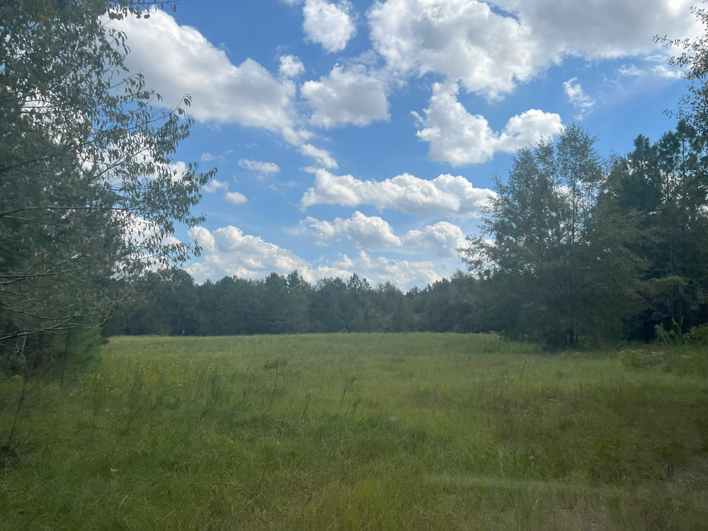 Property gallery image