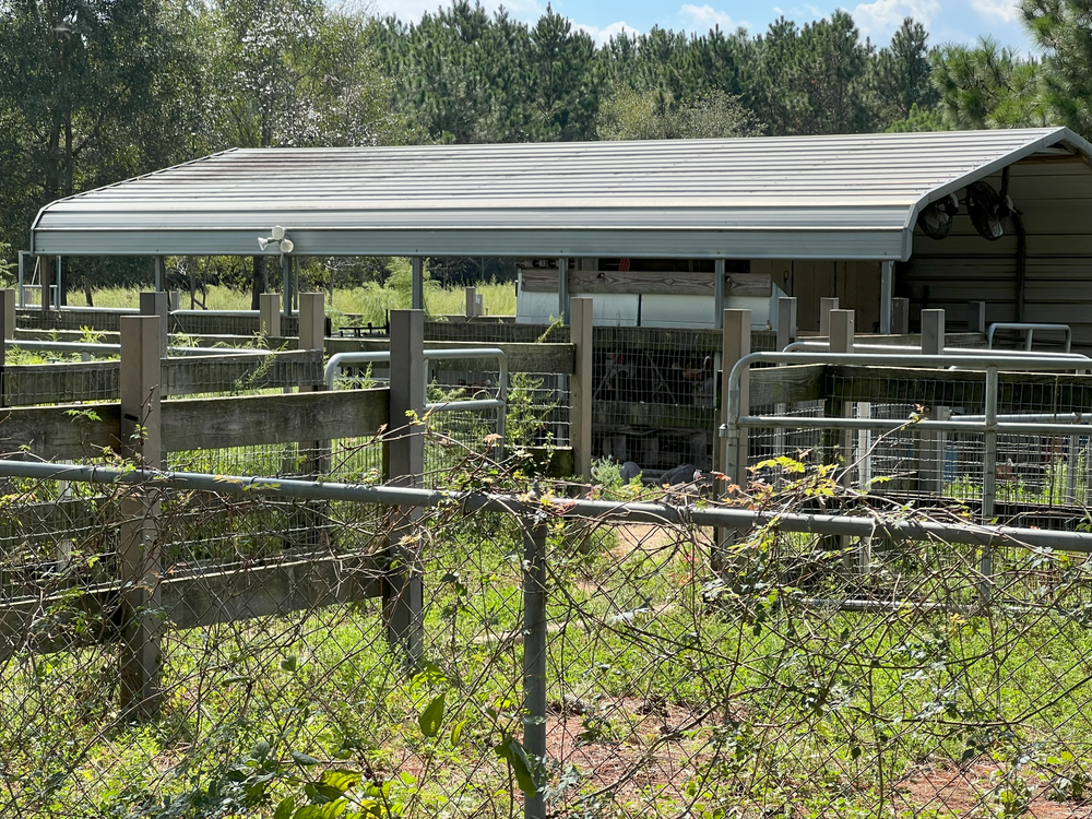 Property gallery image