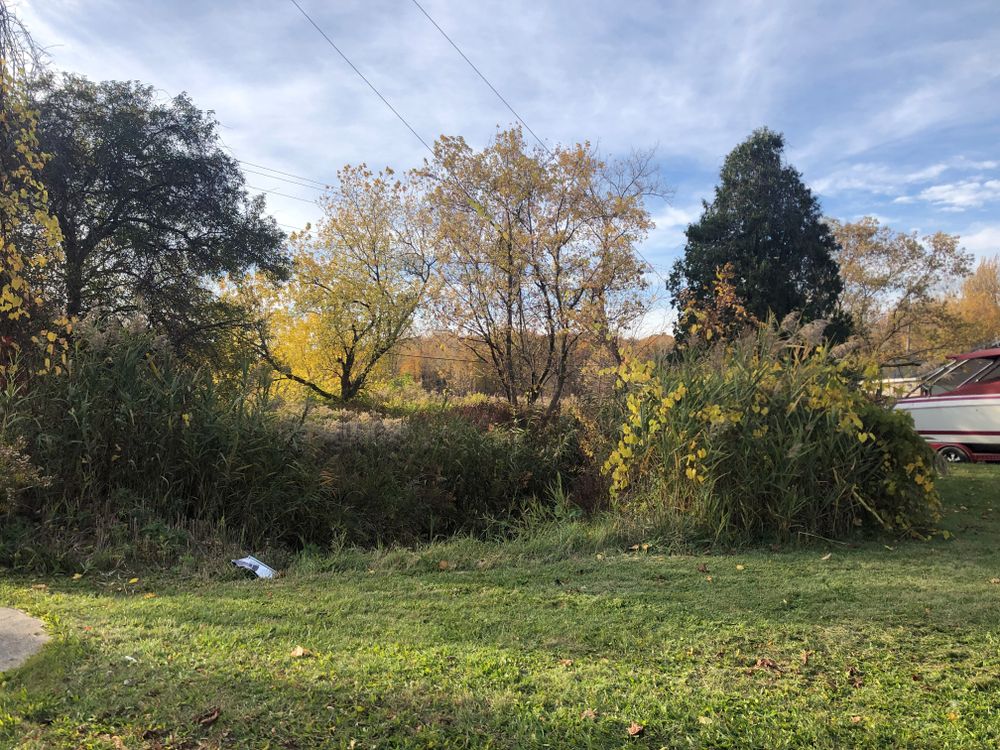Property gallery image
