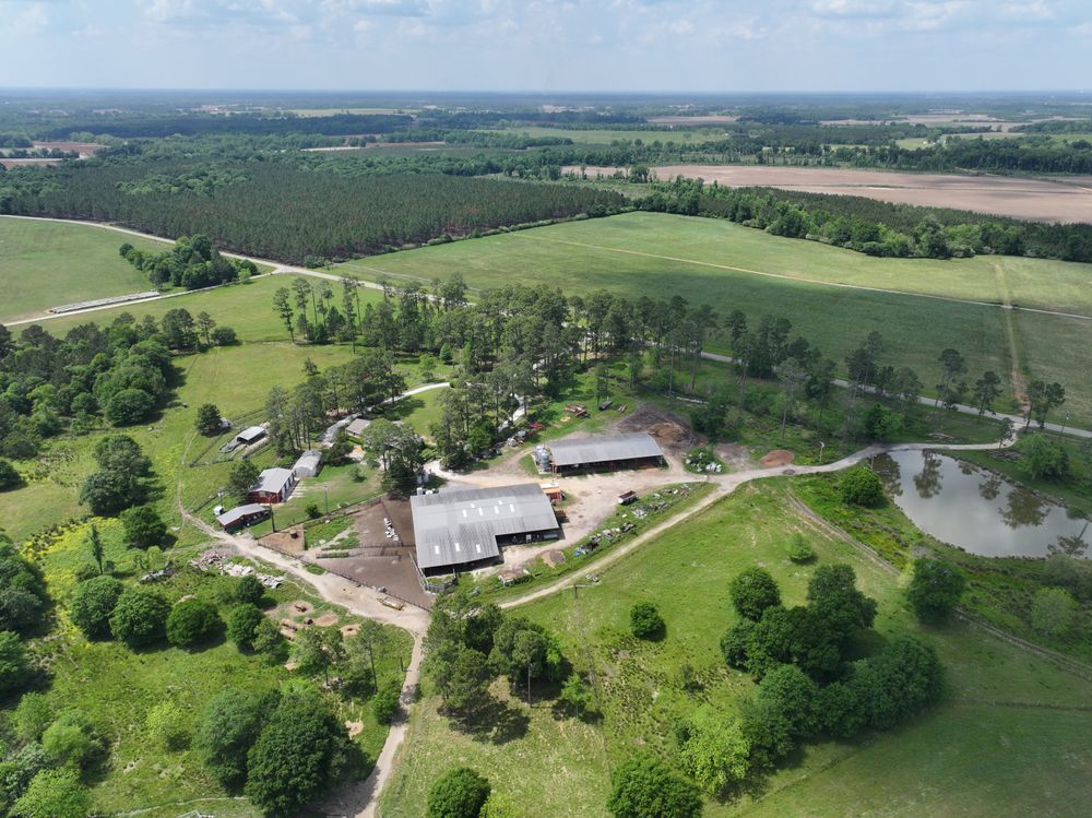 Property gallery image