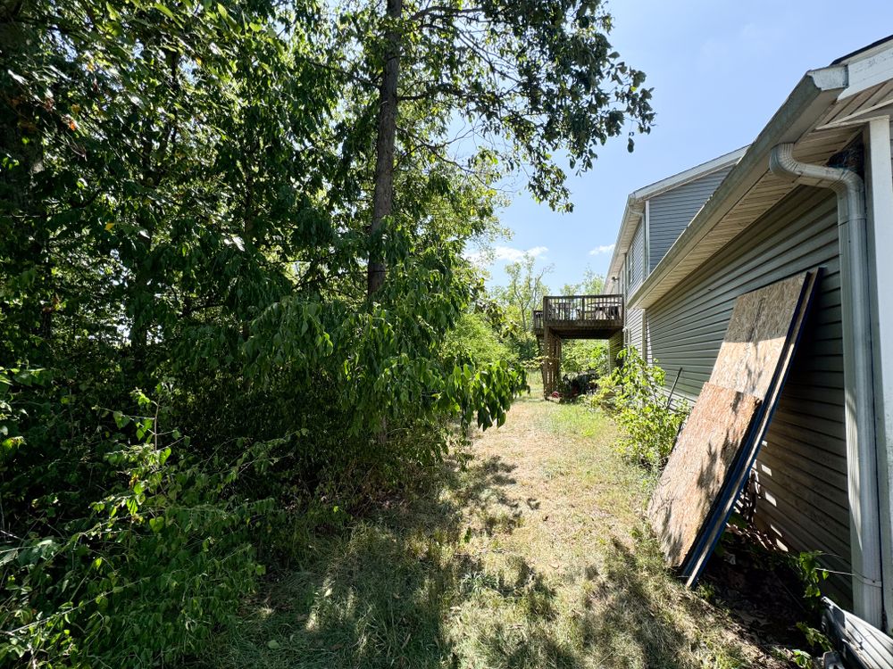 Property gallery image