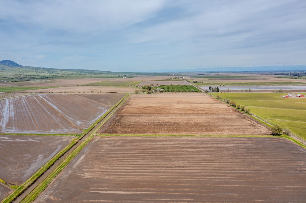 Property gallery image