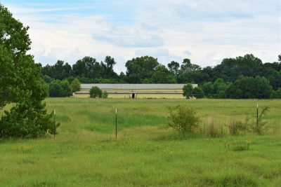 Saddlebrook Dr.