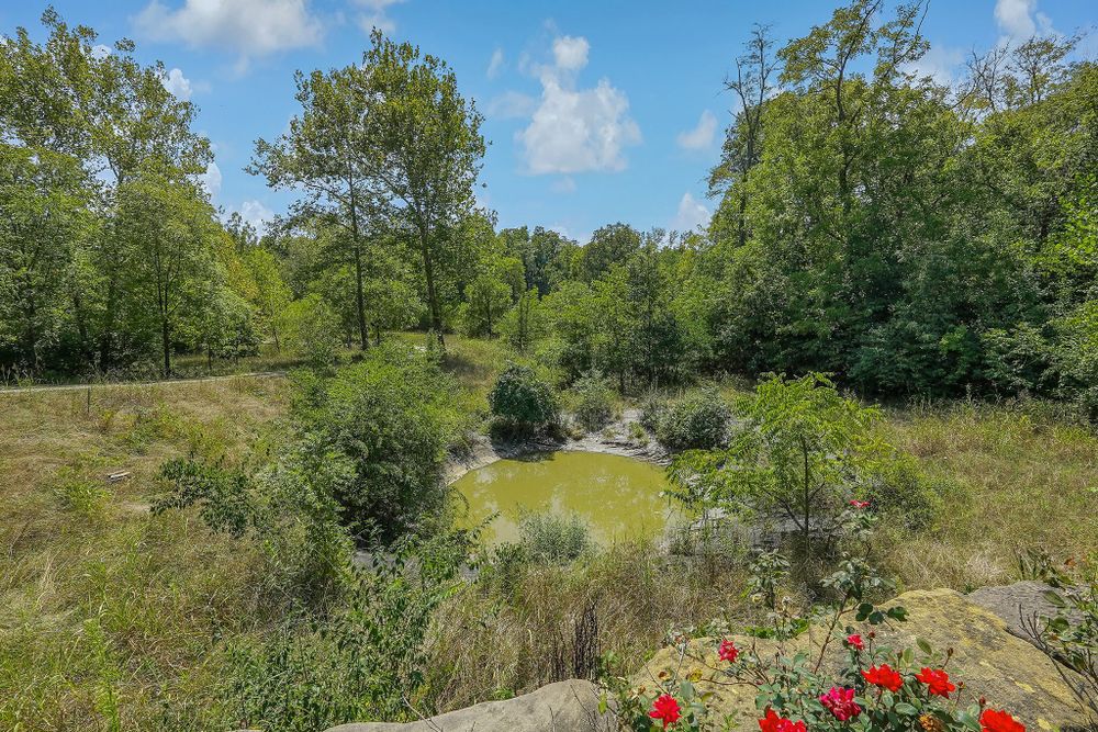 Property gallery image