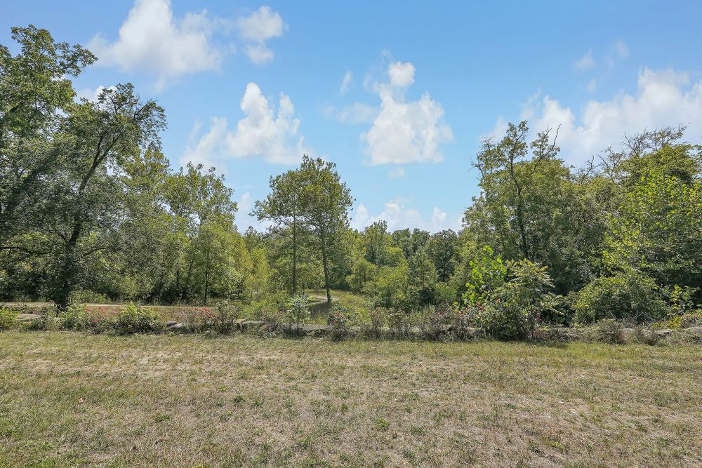 Property gallery image