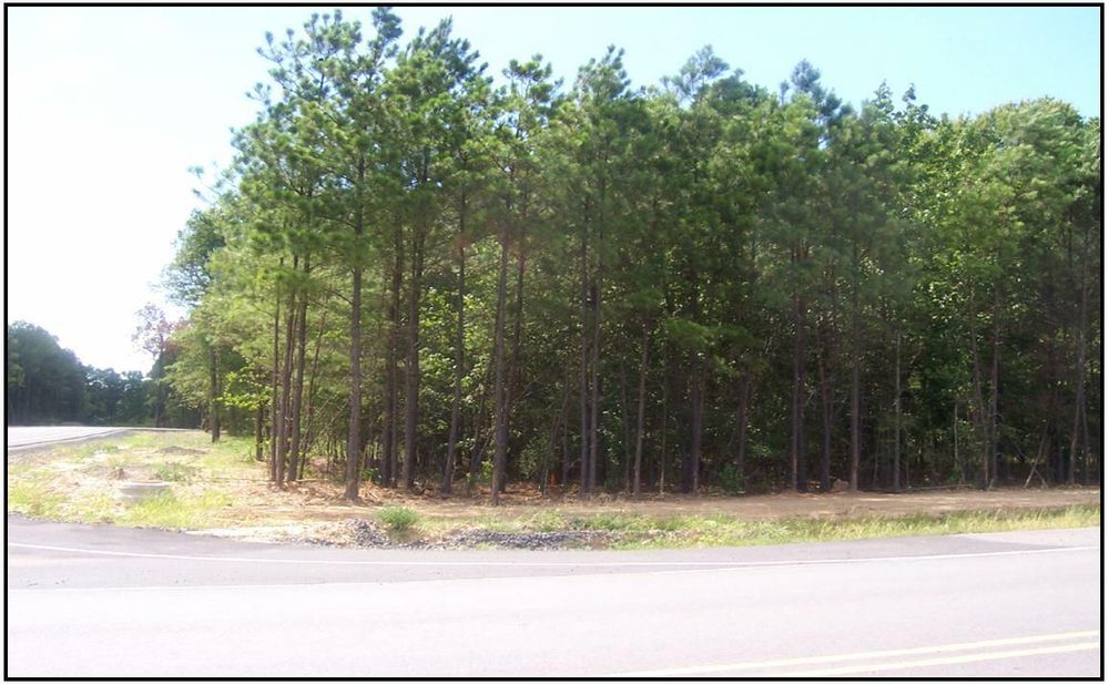 Property gallery image