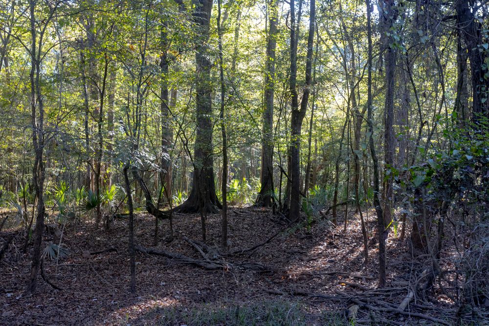 Property gallery image