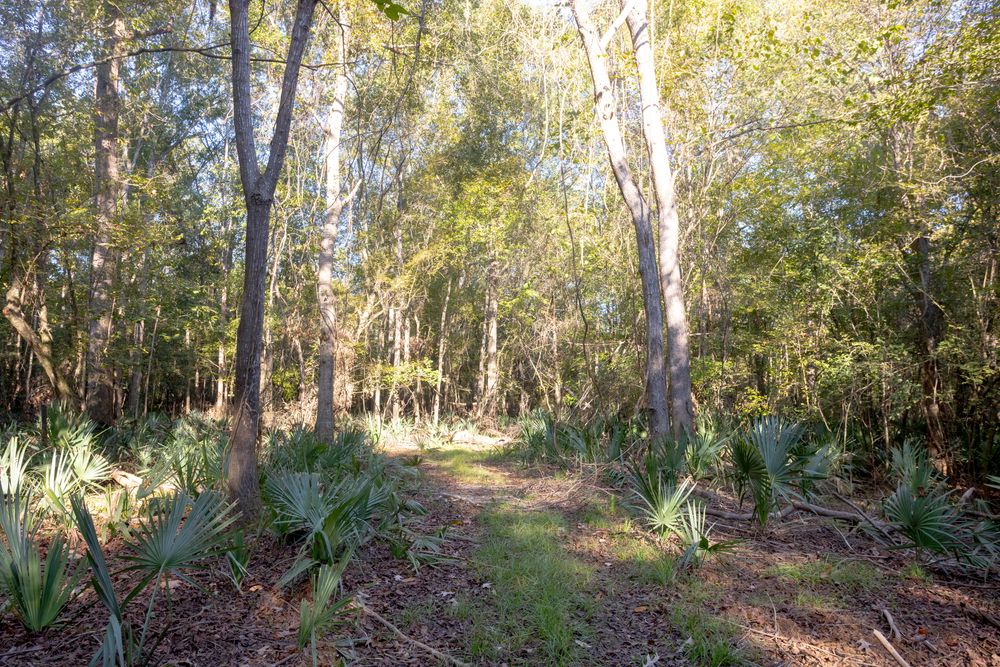 Property gallery image
