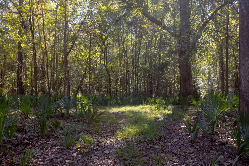 Property gallery image