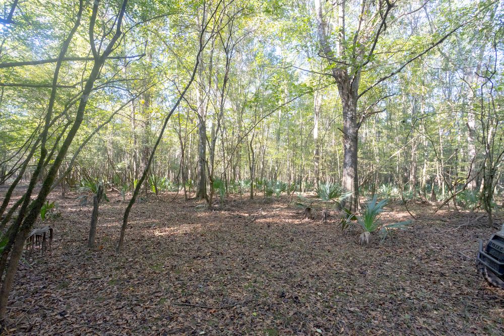 Property gallery image