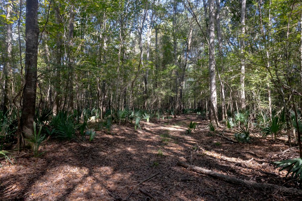 Property gallery image