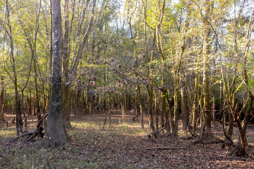 Property gallery image