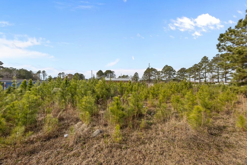 Property gallery image