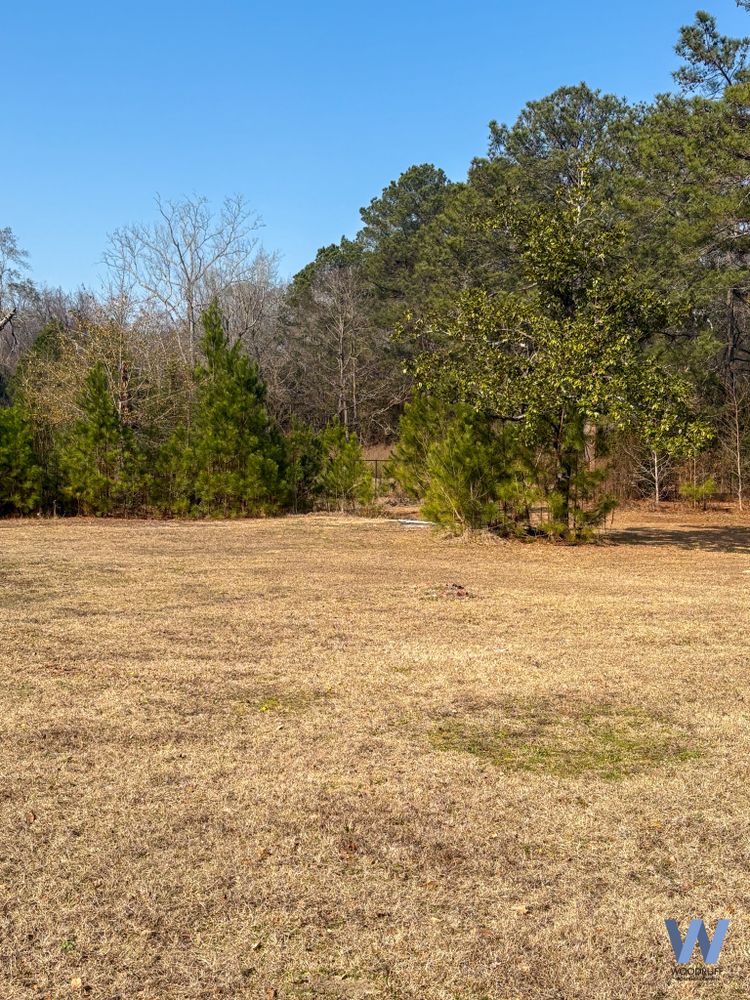 Property gallery image