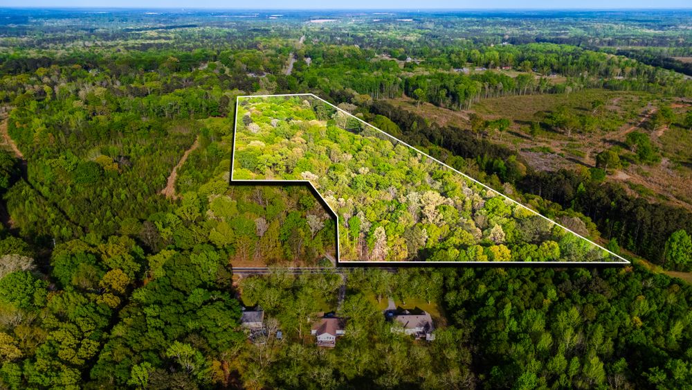 Property gallery image