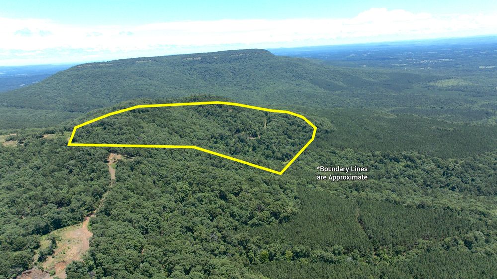 Property feature image