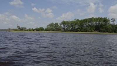Island in White Oak River