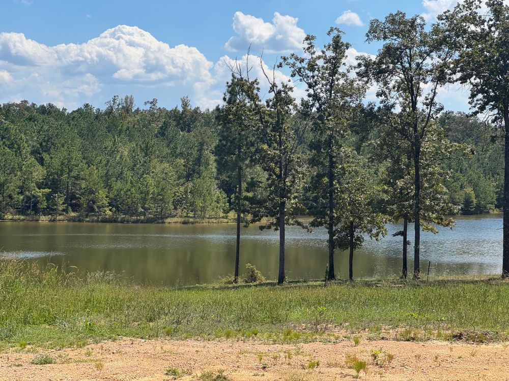 Property gallery image