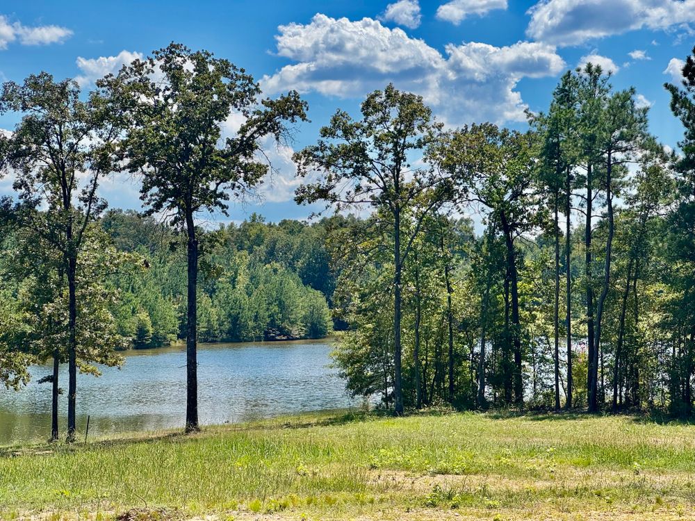 Property gallery image