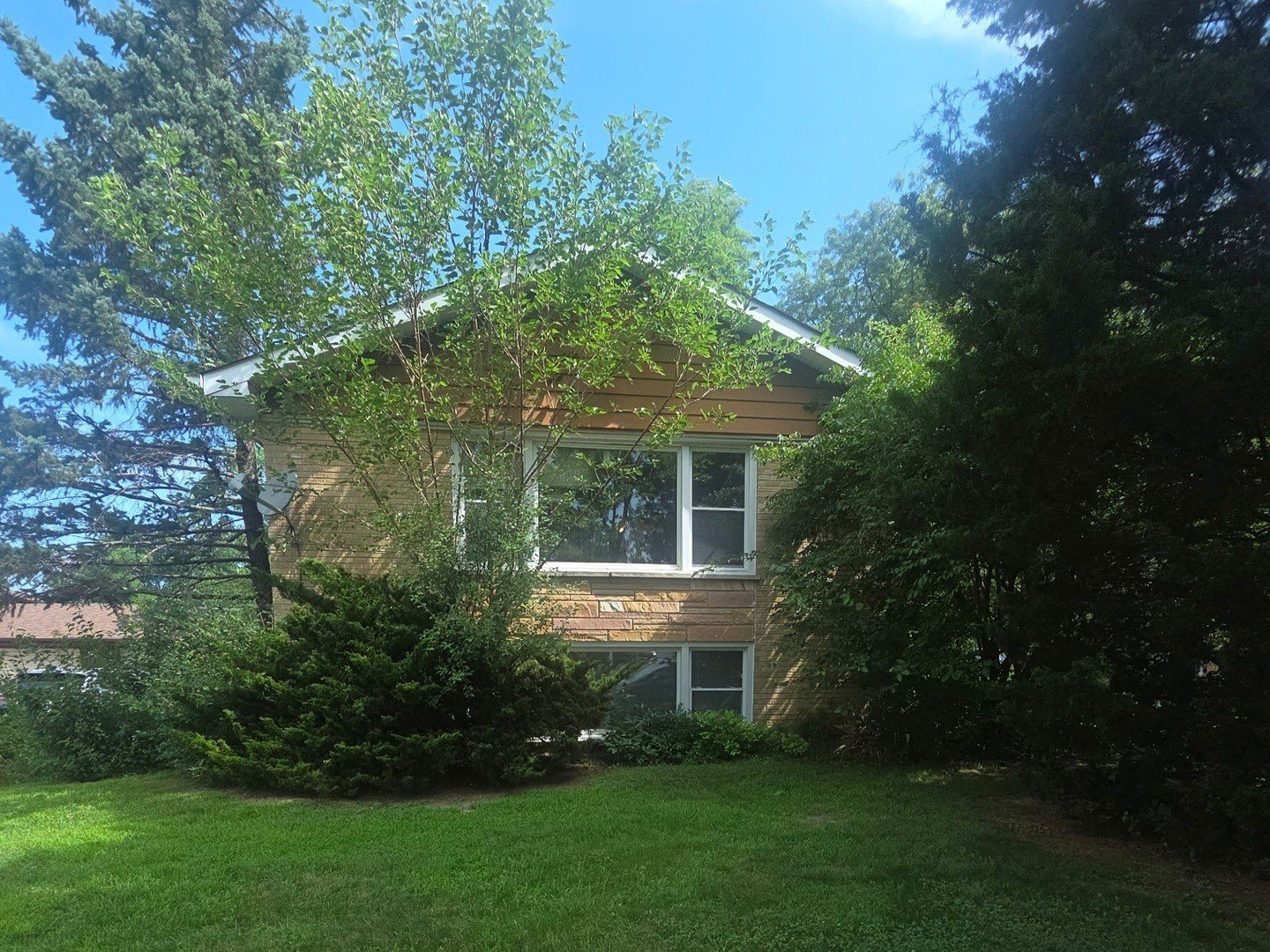 Property feature image