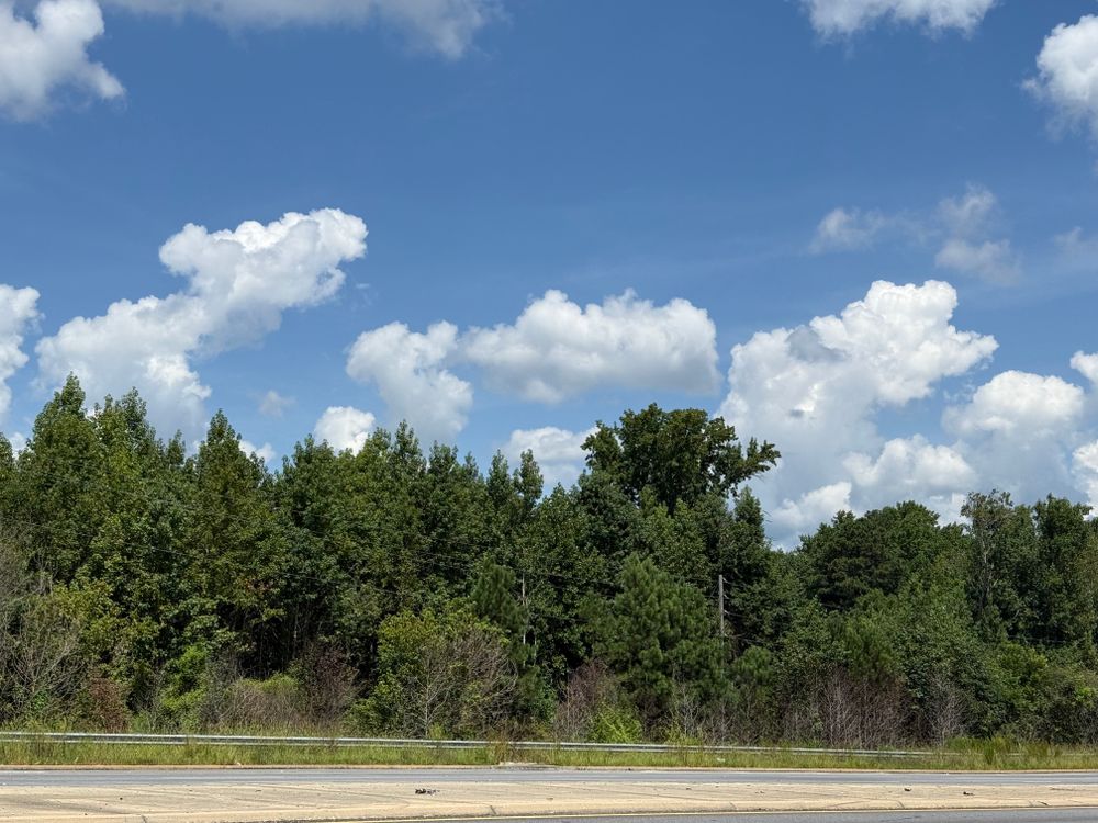 Property gallery image