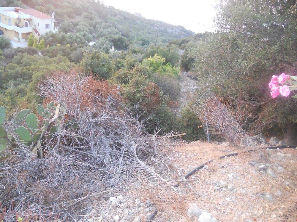 Property gallery image