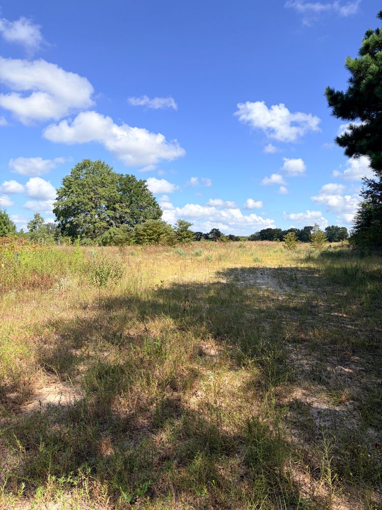 Property gallery image